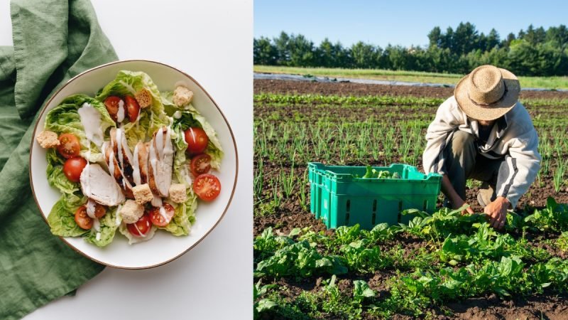 Godown storage facility